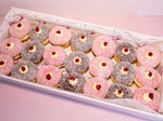Load image into Gallery viewer, 21 Chocolate &amp; Strawberry Lamington Donuts
