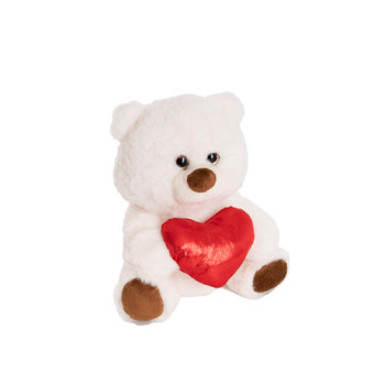 Valentine's Day Teddy Bear